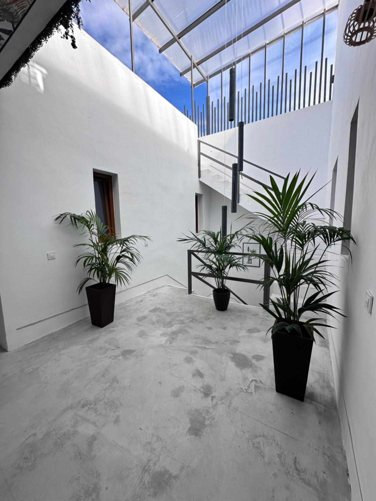 Euphorbia Suites ロス・シロス エクステリア 写真